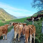Stefflhof * Mittersill