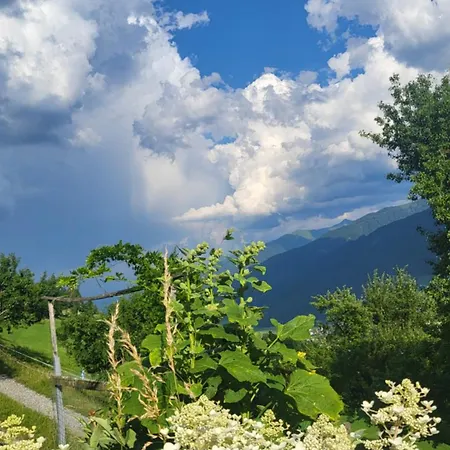 Stefflhof * Mittersill