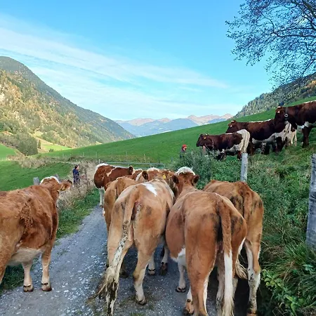 Stefflhof * Mittersill