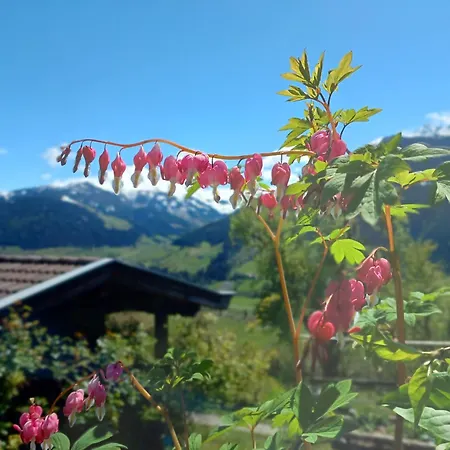 ファームステイ Stefflhof *