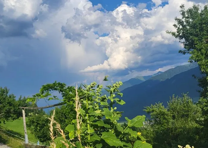 Stefflhof * Mittersill