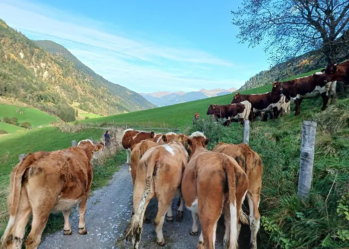 Stefflhof * Mittersill
