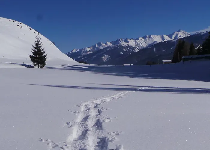 مزرعة للإقامة Stefflhof ميترسل